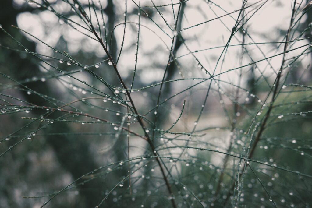 『君のいた時間』とわたし｜はしもとももこ