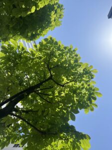 HSPの私が見つけた、心を満たすひとり旅の5つのコツ