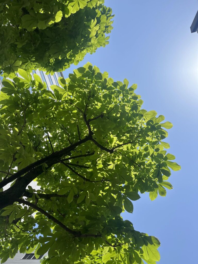 HSPの私が見つけた、心を満たすひとり旅の5つのコツ