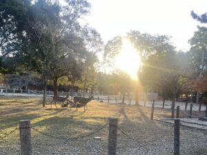 決めすぎないほうが、うまくいく日もある